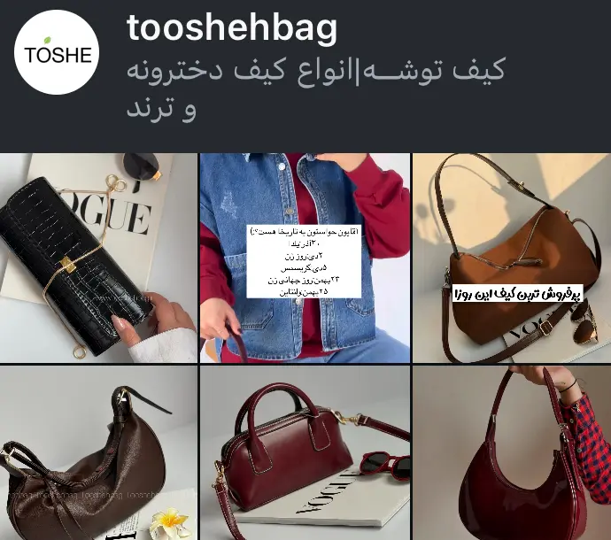 tooshehbag